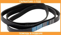 ������ ������������ Dongil / 6PK1815 �������� 12 ��� 6PK1815 ����