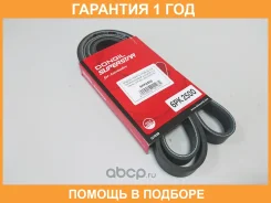 ������ ������������ Dongil / 6PK2500 �������� 12 ��� 6PK2500 ����