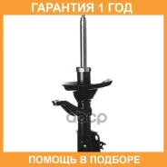 ������ ������������ (FR) Double Force / DF331048 �������� 18 ���, ������ �������� DF331048 ����