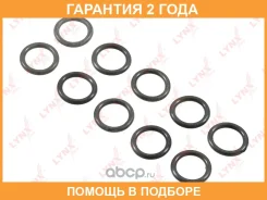 �������������� ������ Lynxauto / SG2105 �������� 24 ��� ���� �� 10 �� SG2105 ����