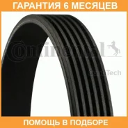 ������ ������������ Contitech / 6PK2050 �������� 6 ��� 6PK2050 ����