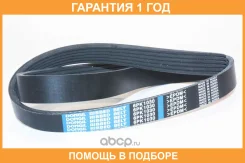 ������ ������������ Dongil / 6PK1030 �������� 12 ��� 6PK1030 ����