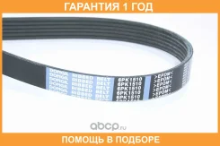 ������ ���������� Dongil / 6PK1510 �������� 12 ��� 6PK1510 ����