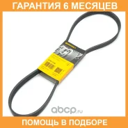 ������ ������������ Contitech / 6PK1130 �������� 6 ��� 6PK1130 ����