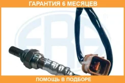 ������-���� ERA / 570125 �������� 6 ��� 570125 ����
