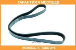 ������ ���������� Dayco / 5PK1000 �������� 6 ��� 5PK1000 ����