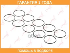 �������������� ������ Lynxauto / SG2539 �������� 24 ��� ���� �� 10 �� SG2539 ����
