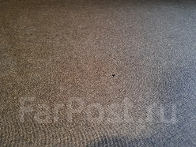 ������ ������� ����