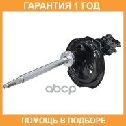 ����������� �������� CTR / GY0711G �������� 12 ��� GY0711G ����