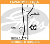 ������ ��� Gates / 5479XS �������� 24 ��� 5479XS ����