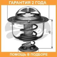 ��������� Gates / TH31282G1 �������� 24 ��� TH31282G1 ����