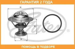 ��������� Gates / TH31482G1 �������� 24 ��� TH31482G1 ����