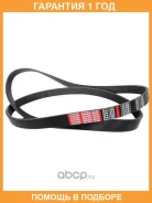 ������ ������������ Dongil / 6PK1555 �������� 12 ��� 6PK1555 ����
