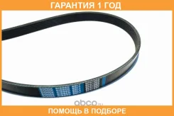 ������ ���������� Dongil / 6PK1900 �������� 12 ��� 6PK1900 ����