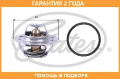 ��������� Gates / TH23389G1 �������� 24 ��� TH23389G1 ����