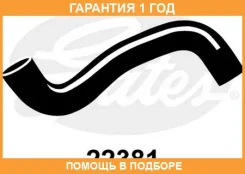 �������� ������� ���������� Gates / 22381 �������� 12 ��� 22381 ����