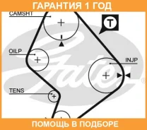 ������ ��� Gates / 5214XS �������� 12 ��� 5214XS ����