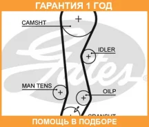 ������ ��� Gates / 5389XS �������� 12 ��� 5389XS ����