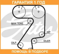 ������ ��� Gates / 5404XS �������� 12 ��� 5404XS ����