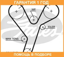 ������ ��� Gates / 5446XS �������� 12 ��� 5446XS ����