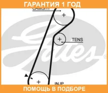 ������ ��� Gates / 5478XS �������� 12 ��� 5478XS ����