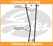 �������� ������ Gates / 5687XS �������� 12 ��� 5687XS ����