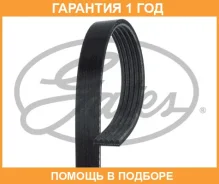 ������ ���������� Gates / 5PK1355 �������� 12 ��� 5PK1355 ����