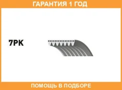 ������ ���������� Gates / 7PK1243 �������� 12 ��� 7PK1243 ����