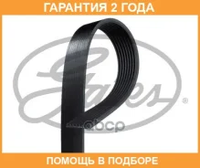 ������������ ������ Gates / 8PK1553HD �������� 24 ��� 8PK1553HD ����
