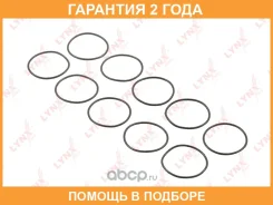 ��������� ���������� Lynxauto / SG1721 �������� 24 ��� ���� �� 10 �� SG1721 ����