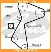 �������� ����� ��� Gates / K015484XS �������� 12 ��� K015484XS ����