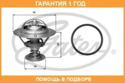 ��������� Gates / TH31482G1 �������� 12 ��� TH31482G1 ����