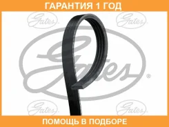 ������ ���������� Gates / 4PK823 �������� 12 ��� 4PK823 ����