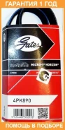 ������ ���������� Gates / 4PK890 �������� 12 ��� 4PK890 ����