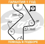 ������ ��� Gates / 5202XS �������� 12 ��� 5202XS ����