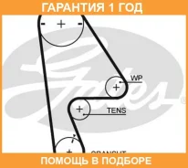 ������ ��� Gates / 5409XS �������� 12 ��� 5409XS ����