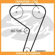������ ��� Gates / 5433XS �������� 12 ��� 5433XS ����