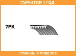������ ���������� Gates / 7PK1125 �������� 12 ��� 7PK1125 ����