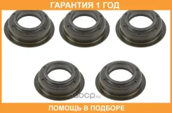������� ��� MAN 25x40/49.5x13.7/15mm Euroricambi / 95534999 �������� 12 ��� 95534999 ����