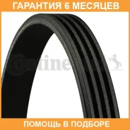 ������ ������������ Contitech / 4PK850 �������� 6 ��� 4PK850 ����