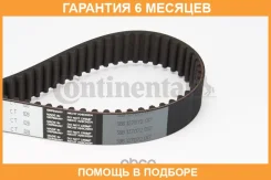 ������ ��� Contitech / CT828 �������� 6 ��� CT828 ����