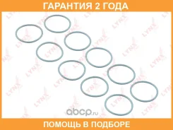 ��������� ���������� ������ Lynxauto / SG1913 �������� 24 ��� ���� �� 10 �� SG1913 ����