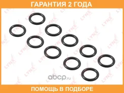 �������������� ������ Lynxauto / SG2100 �������� 24 ��� ���� �� 10 �� SG2100 ����