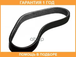 ������ ������������ Dongil / 5PK955 �������� 12 ��� 5PK955 ����