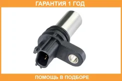 ������ ����������� NAP / NSCM0010E �������� 12 ��� NSCM0010E ����