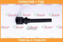 ������� ��������� NAP / SZDI2001E �������� 12 ��� SZDI2001E ����