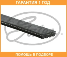 ������ ���������� Gates / 4PK978 �������� 12 ��� 4PK978 ����
