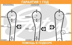 ������ ��� Gates / 5043 �������� 12 ��� 5043 ����