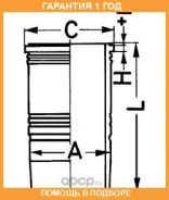 ������ �������� Kolbenschmidt / 89186110 �������� 12 ��� 89186110 ����