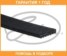 ������ ���������� Gates / 7PK810 �������� 12 ��� 7PK810 ����